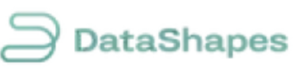 Datashapes Logo Celestial Systems Clients