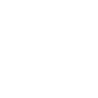 Audit white icon