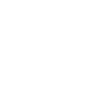 pie chart icon