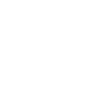 white icon