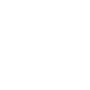 white globe icon