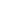 white light icon