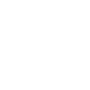 secops icon